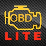 OBD Lite - Car Diagnostic OBD2 icon