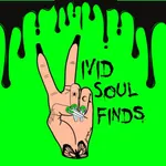 VividSoulFinds icon