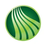 Webster Five Mobile icon