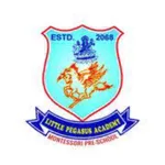 Little Pegasus Academy School icon