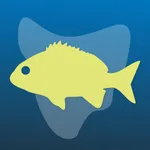 Fishing Tas icon