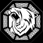 Moscow fight team icon