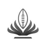 CFpedia College Football Stats icon