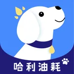 哈利油耗 icon