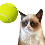 Cat Playing Tennis icon