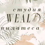 Студия Пилатеса WEAL icon