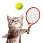 Cat Meow: Sport Battle icon