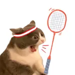 Cat Meme Sport icon