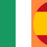 Diccionario Irlandés-Español icon