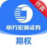 申万宏源证券仿真期权 icon