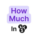 How Much In icon