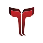 TOOL ΣPARK icon