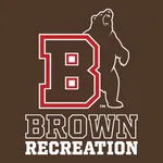 Brown Recreation icon