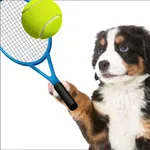 Dog Tennis - Fun Game icon