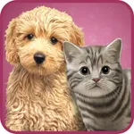 Animal kids dress up fun icon