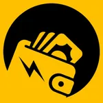 Flash Wallet icon