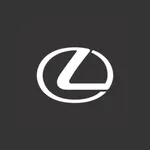Lexus DVR icon