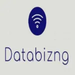 Databizng icon