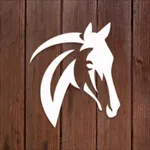 iQUEST - Deine Pferde icon