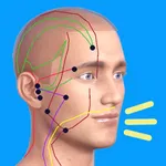 経絡ツボ検索 icon