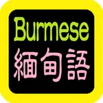 緬甸語聖經 Burmese Audio bible icon