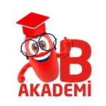 B-Akademi icon