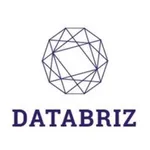 Databriz mobile icon