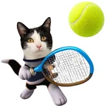 Kitty Tennis Game icon