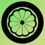 Grapefruit overseas vpn icon