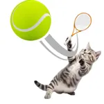 Cat Sports icon