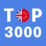 Most Common Chinese Words icon