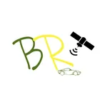 Localiza Br icon