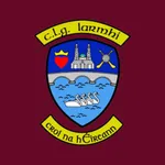 Westmeath GAA icon