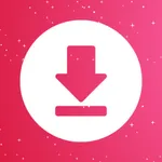 StoryStash: Story & Video Save icon