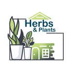 Herbs and plant icon