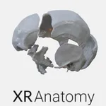 3D Osteology icon