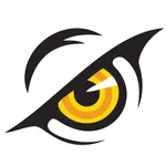 过目不忘单词 icon