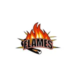 Flames Pizza & Kebab icon