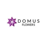 Domus Flowers icon