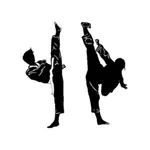 Taekwondo Instructor Manual icon