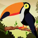 Color Puzzle Sort Bird Game icon