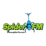 Spider FM icon