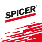 Spicer Catalogo Brasil icon