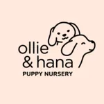 Ollie & Hana icon