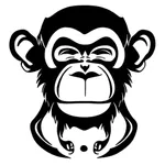 NamNo Foundation icon