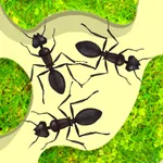 Ant Farm Simulator icon