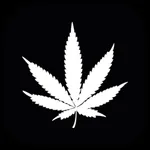 StonerTok icon