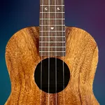 Ukulele Simulator Play & Learn icon