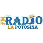 FM Azul Radio La Potosina icon