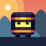 Crazy Ninja Run icon